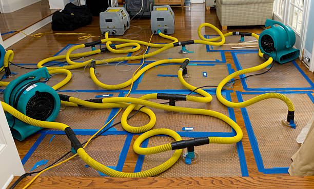 Professional Flood Damage Restoration technician working in Vale, OR